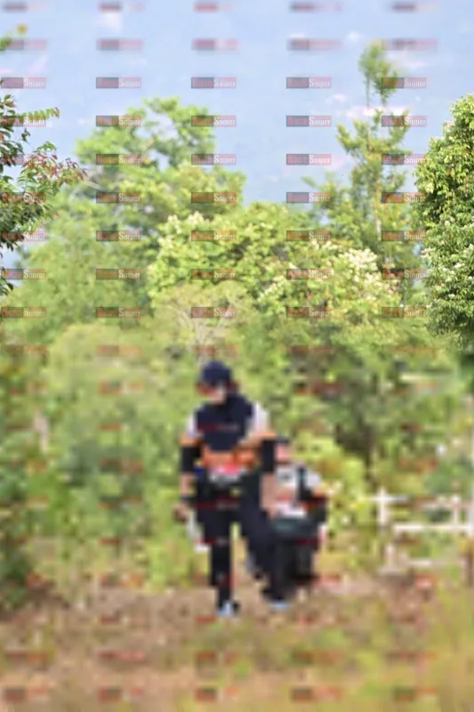 Photo ID 8771520