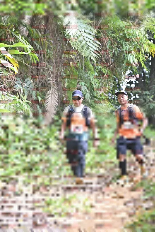 Photo ID 8772793