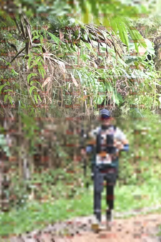 Photo ID 8773720