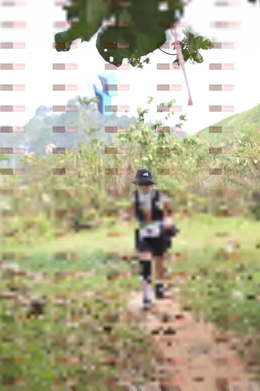 Photo ID 8774552