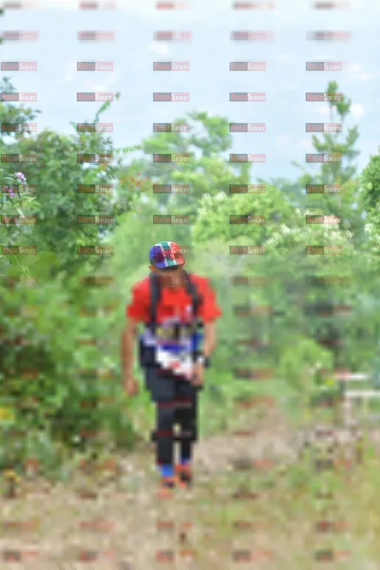 Photo ID 8781912