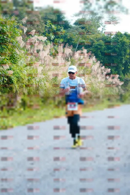 Photo ID 8791127