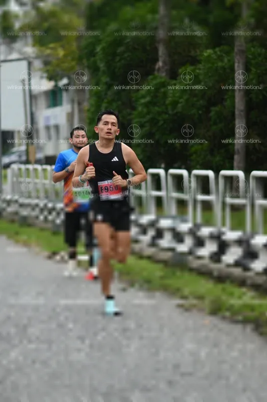 Photo ID 8815279