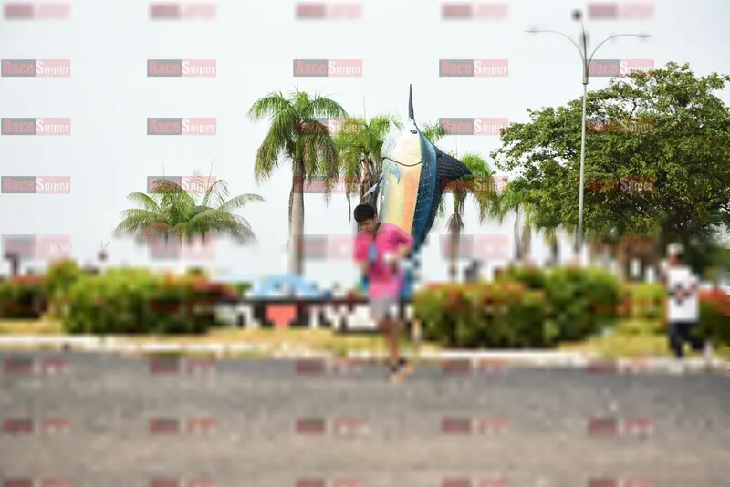 Photo ID 8829828
