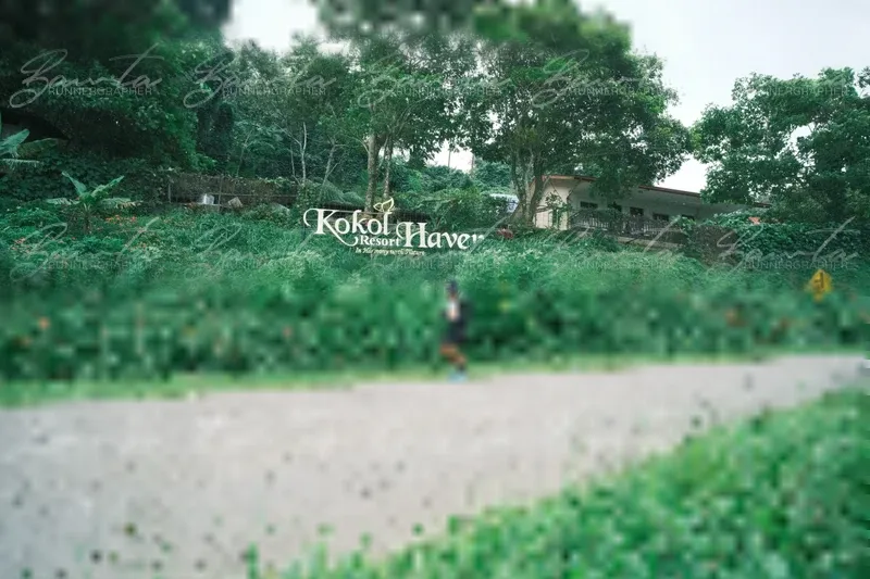 Photo ID 8840989