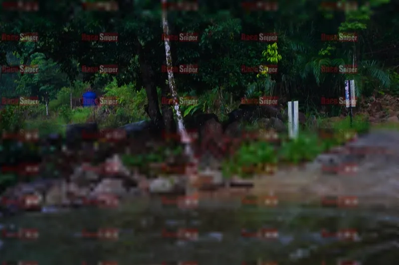 Photo ID 8852126