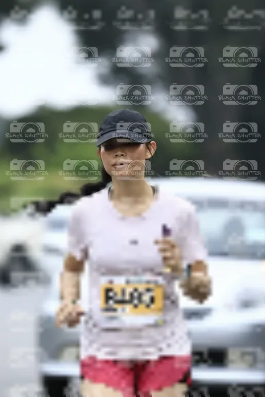 Photo ID 8867193