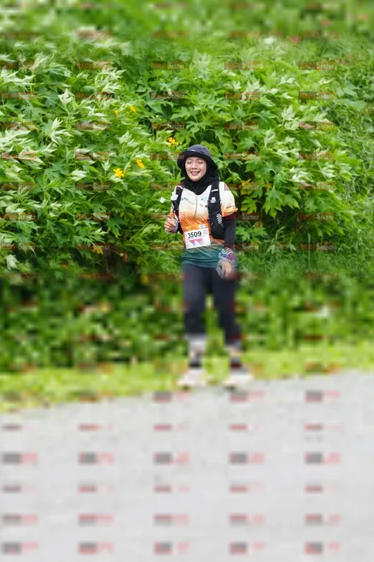 Photo ID 8869984