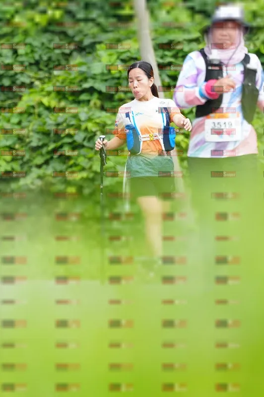 Photo ID 8870505