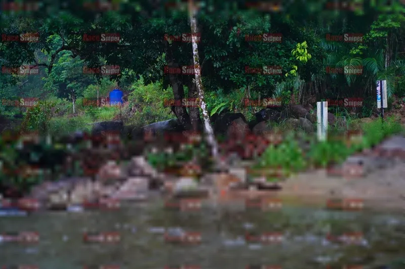 Photo ID 8892323