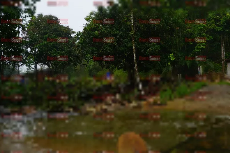 Photo ID 8892360