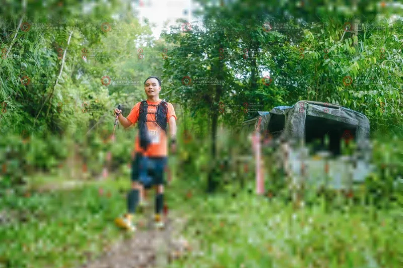 Photo ID 8903512