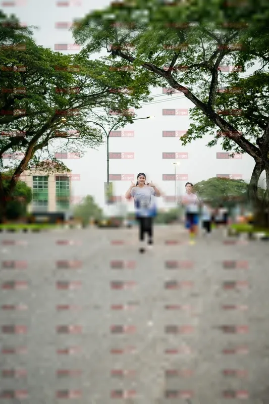 Photo ID 8912819