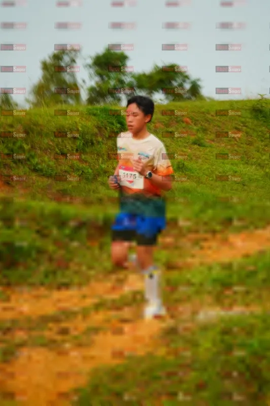 Photo ID 8926037