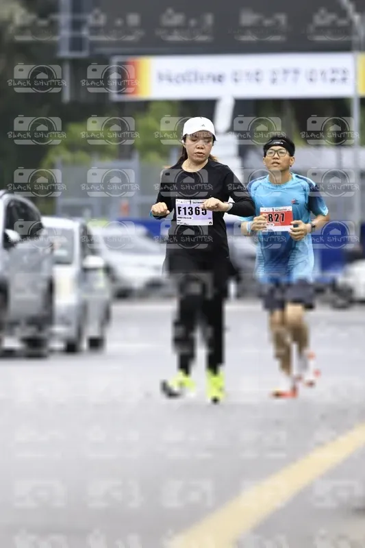 Photo ID 8955467