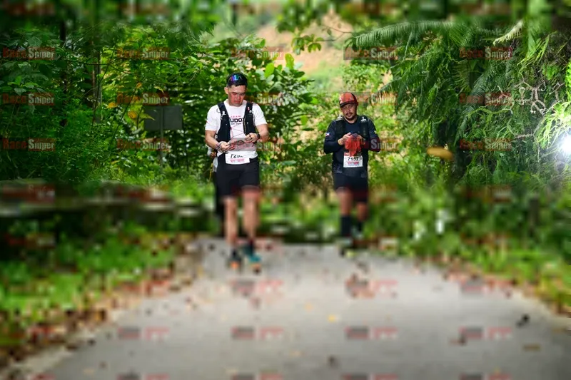 Photo ID 8972890