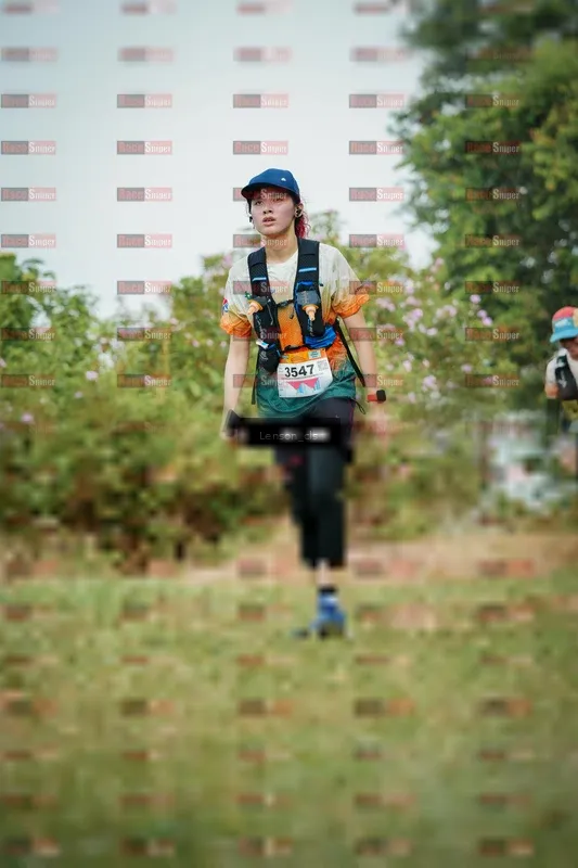 Photo ID 9010693