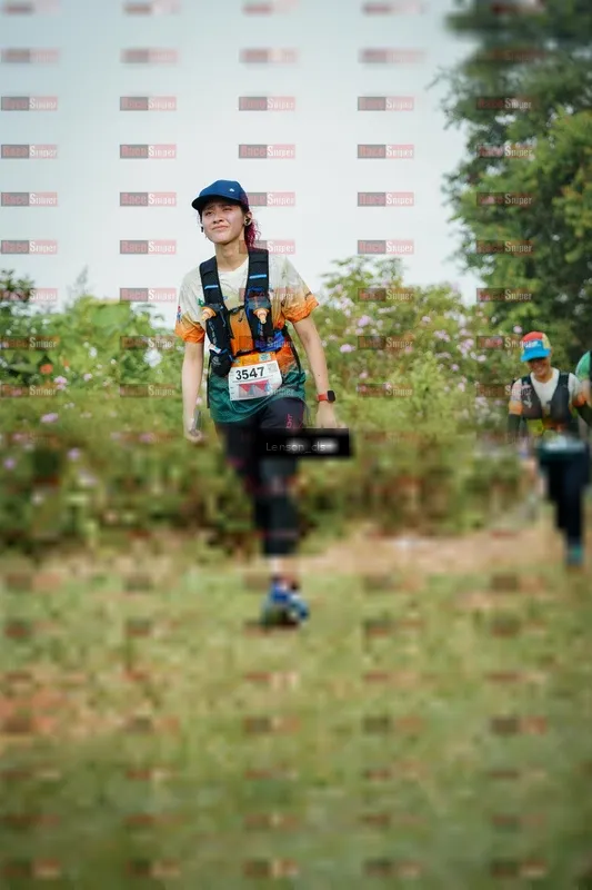 Photo ID 9010694
