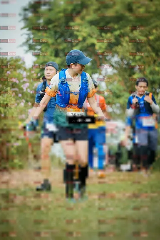 Photo ID 9011287