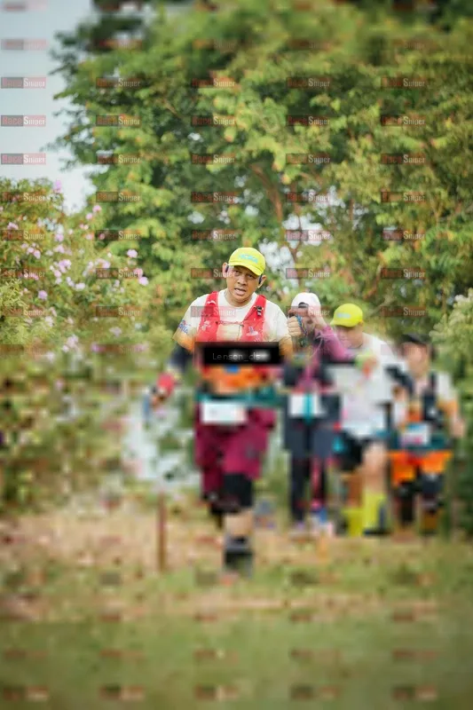Photo ID 9011711