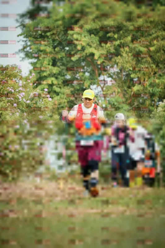 Photo ID 9011712