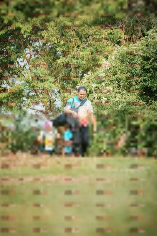 Photo ID 9012823