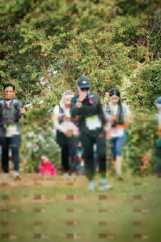 Photo ID 9013958