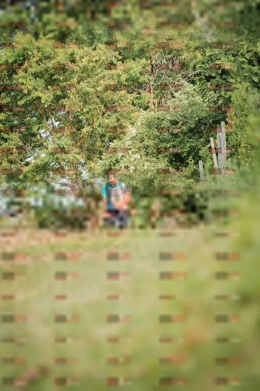 Photo ID 9014601
