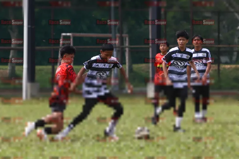 Photo ID 9061110