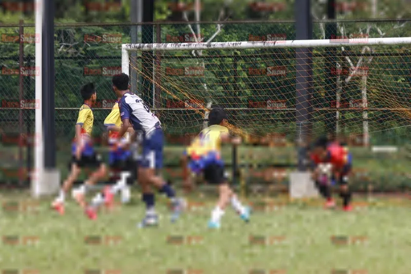Photo ID 9061271