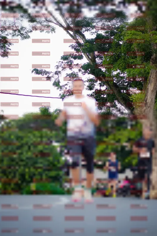 Photo ID 9069506
