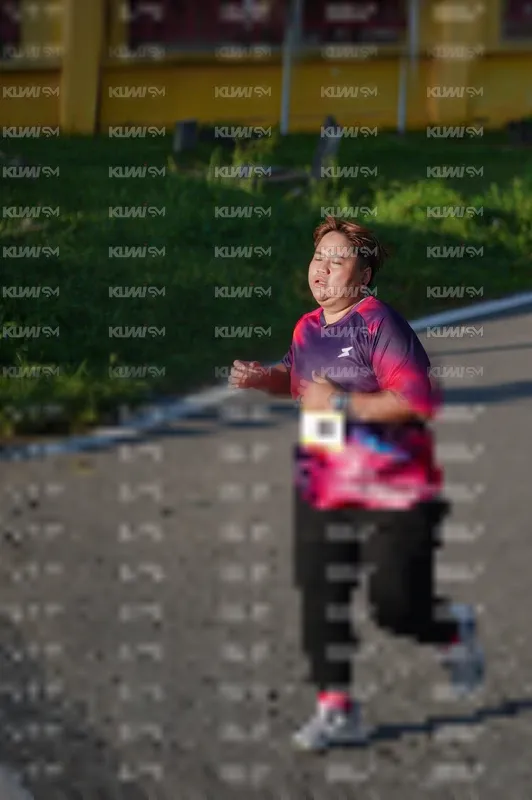 Photo ID 9184066