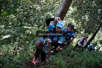 Runner Photo 100359