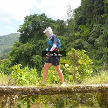 Runner Photo 100451