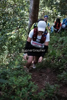 Runner Photo 100556