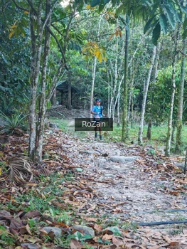 Runner Photo 10104