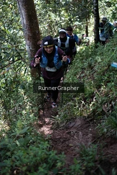 Runner Photo 101165