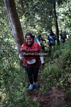 Runner Photo 101433