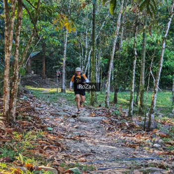 Runner Photo 10162