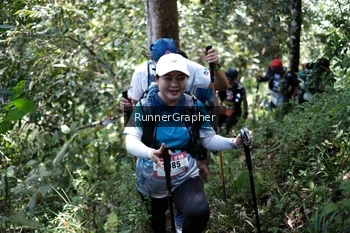 Runner Photo 101641