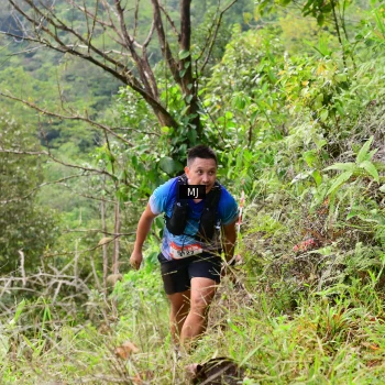 Runner Photo 101734