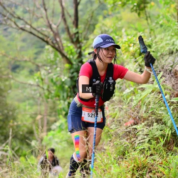 Runner Photo 101768