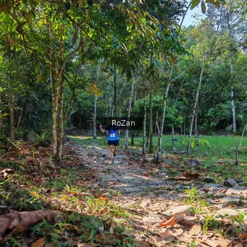 Runner Photo 10177