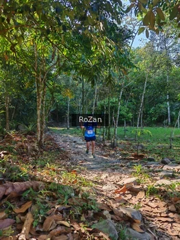 Runner Photo 10178