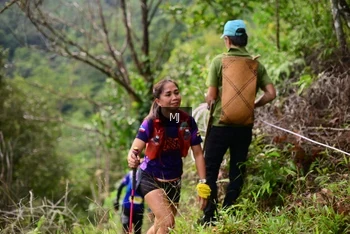 Runner Photo 101859