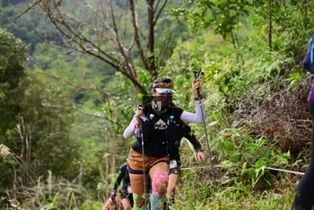 Runner Photo 101897