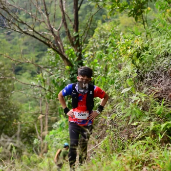 Runner Photo 101966