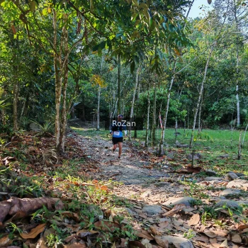 Runner Photo 10199