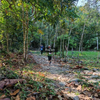 Runner Photo 10206