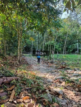 Runner Photo 10207